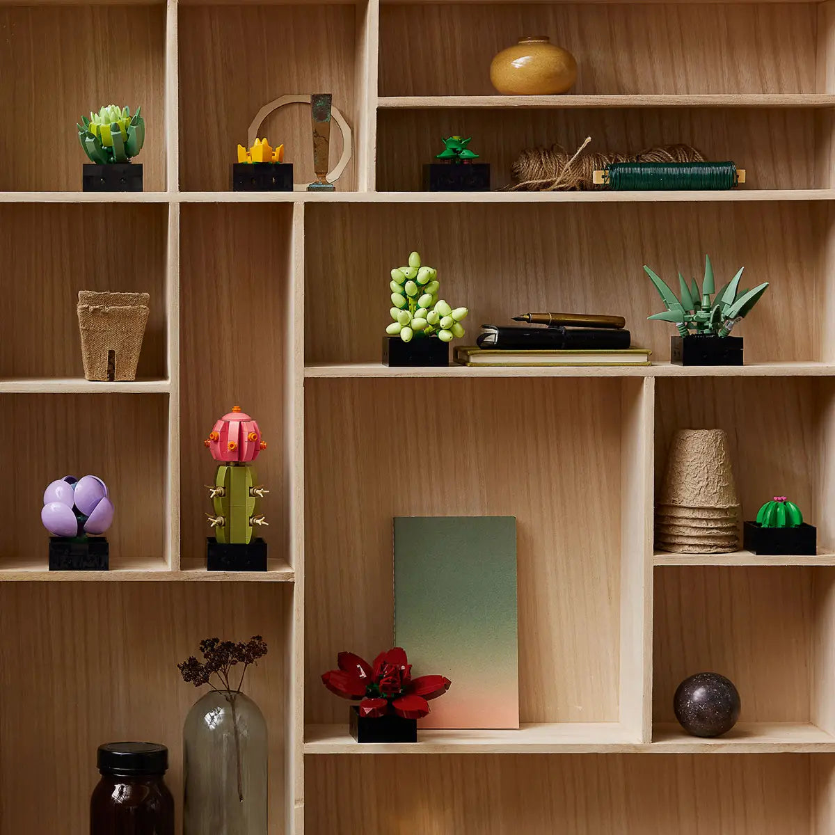 LEGO 10309 – Succulentes