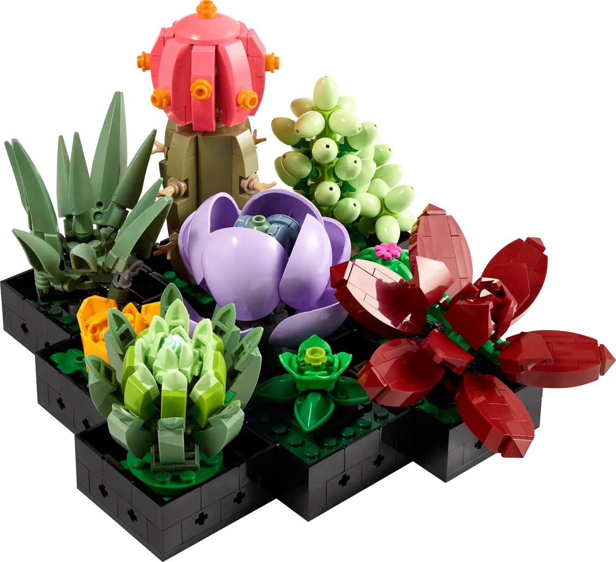 LEGO 10309 – Succulentes