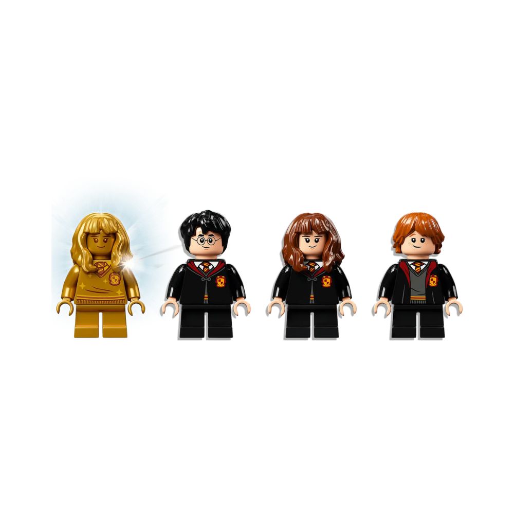 LEGO Harry potter – Rencontre avec Touffu