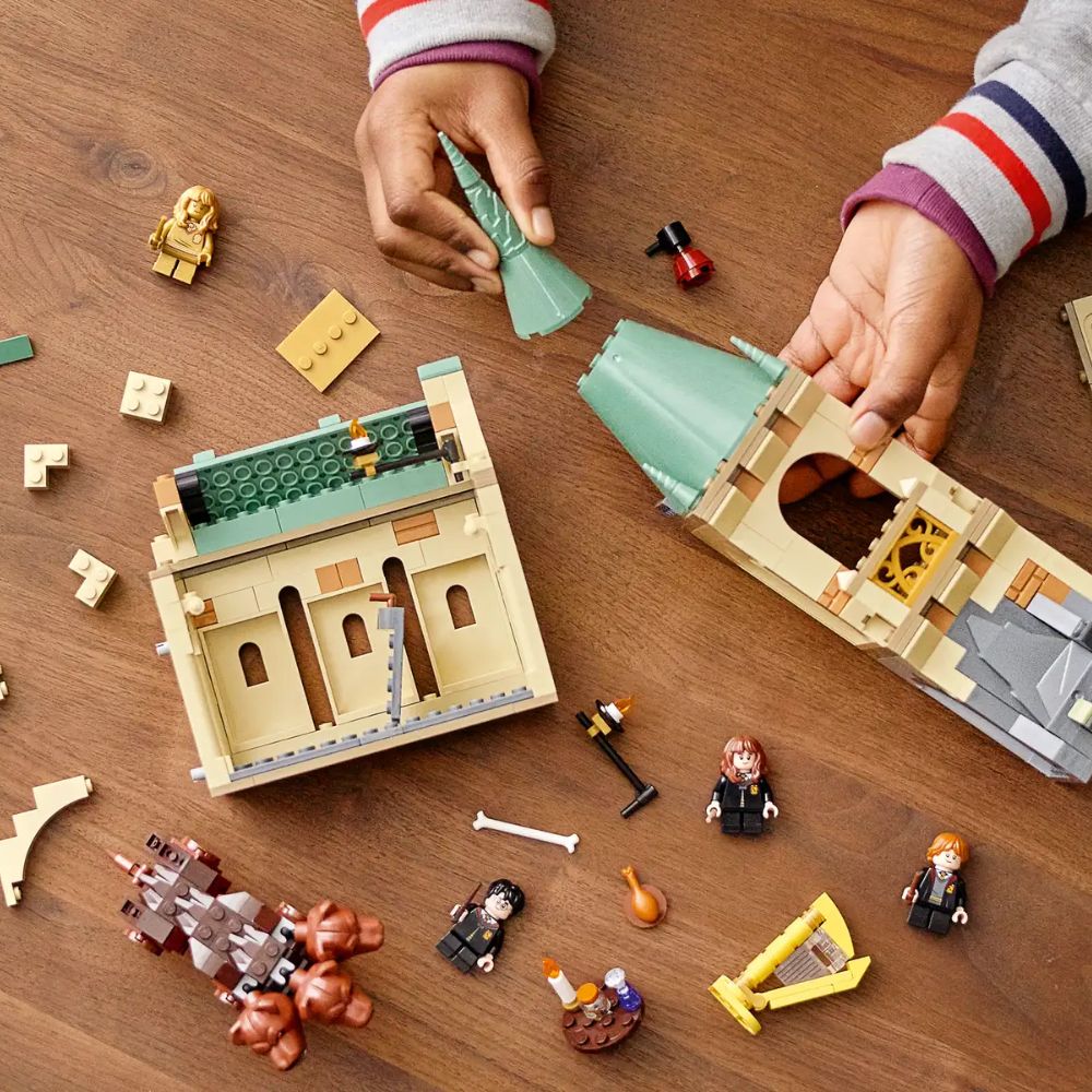 LEGO Harry potter – Rencontre avec Touffu