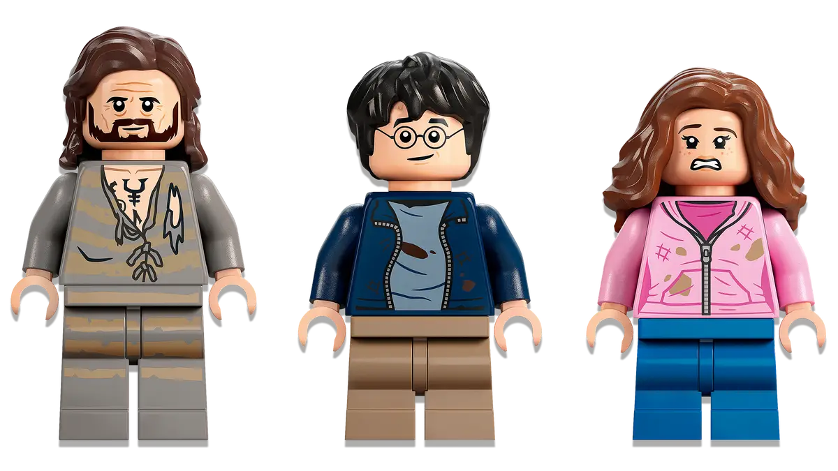 LEGO 76401 – Cour intérieure de Poudlard : Sauvetage de Sirius