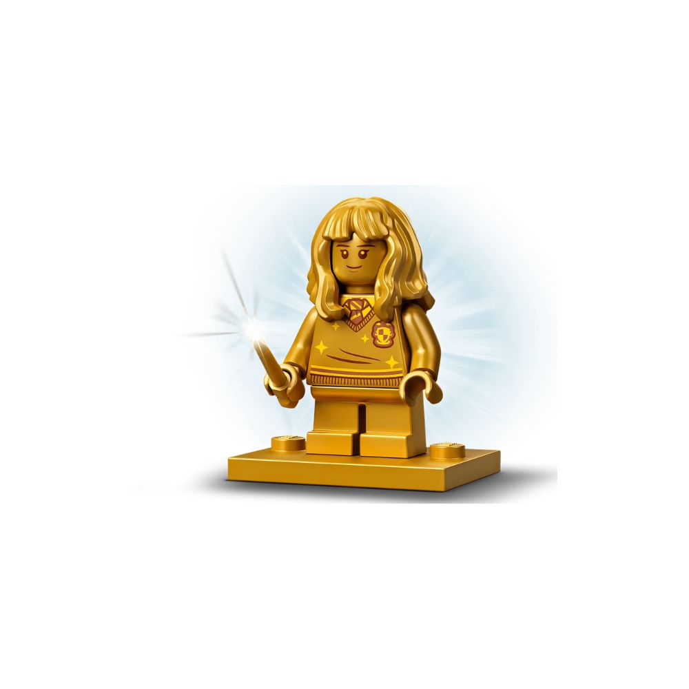 LEGO Harry potter – Rencontre avec Touffu