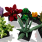 LEGO 10309 – Succulentes