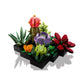 LEGO fleur – Succulentes